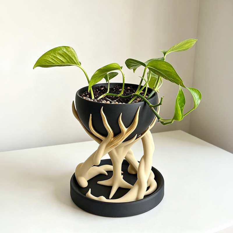 Tree Root Planter